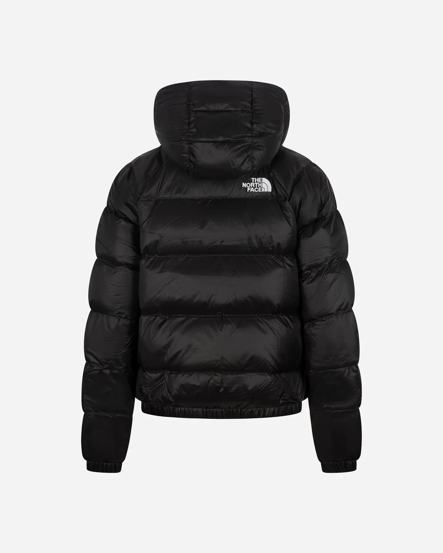 The North Face Hydrenalite W - vista 2