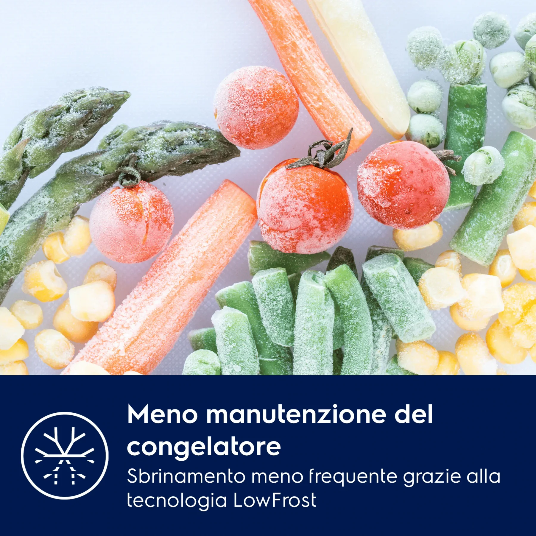 Frigocongelatore ad incasso Electrolux Serie 500 - vista 5