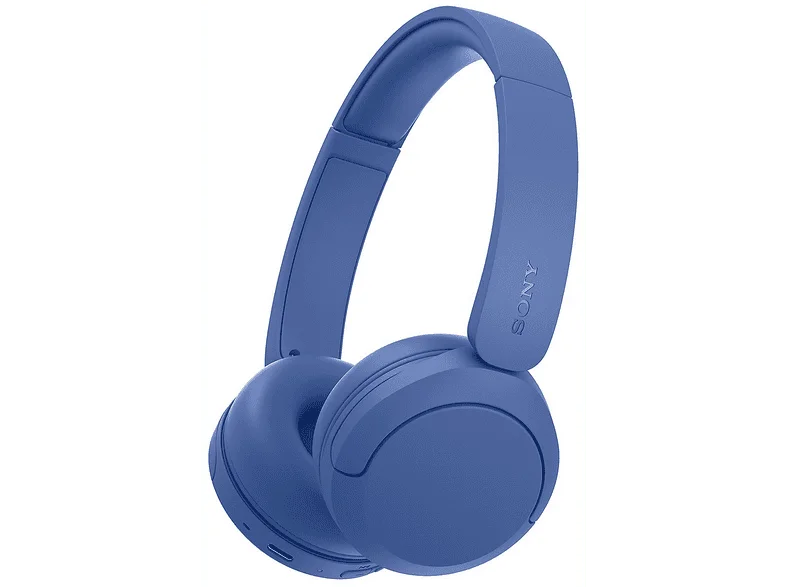 Sony WHCH535L.CE7 Auricolare Wireless A Padiglione Bluetooth