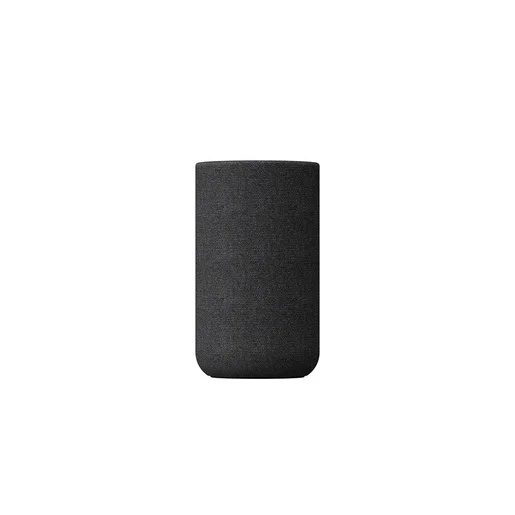 Diffusori Frontali Sony SARS5