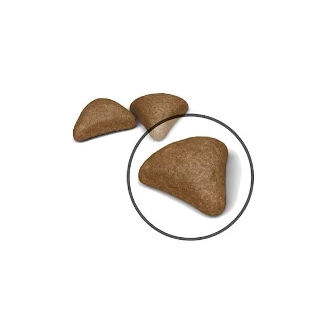 Royal Canin Hairball Care - vista 4