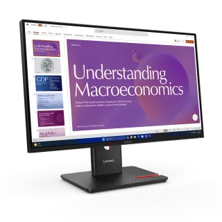 Lenovo Monitor per docking USB-C FHD ThinkVision T24D-48