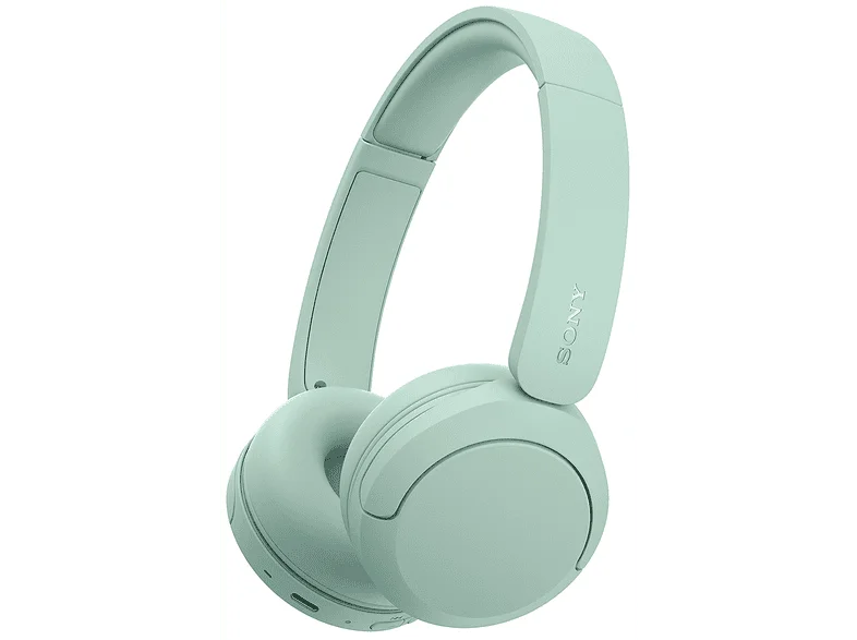 Sony WHCH535G.CE7 Auricolare Wireless A Padiglione Bluetooth