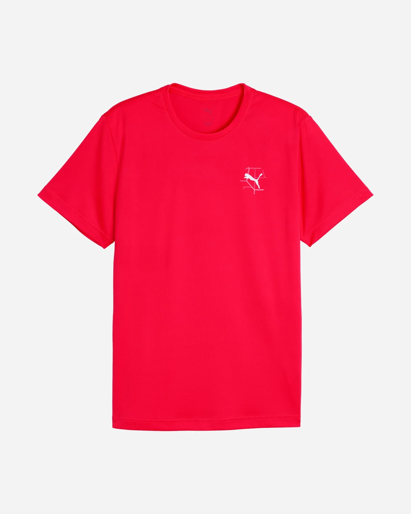 Puma Run Illustrative - vista 3
