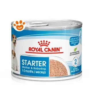 Royal Canin Dog Starter Mousse Mother & Babydog