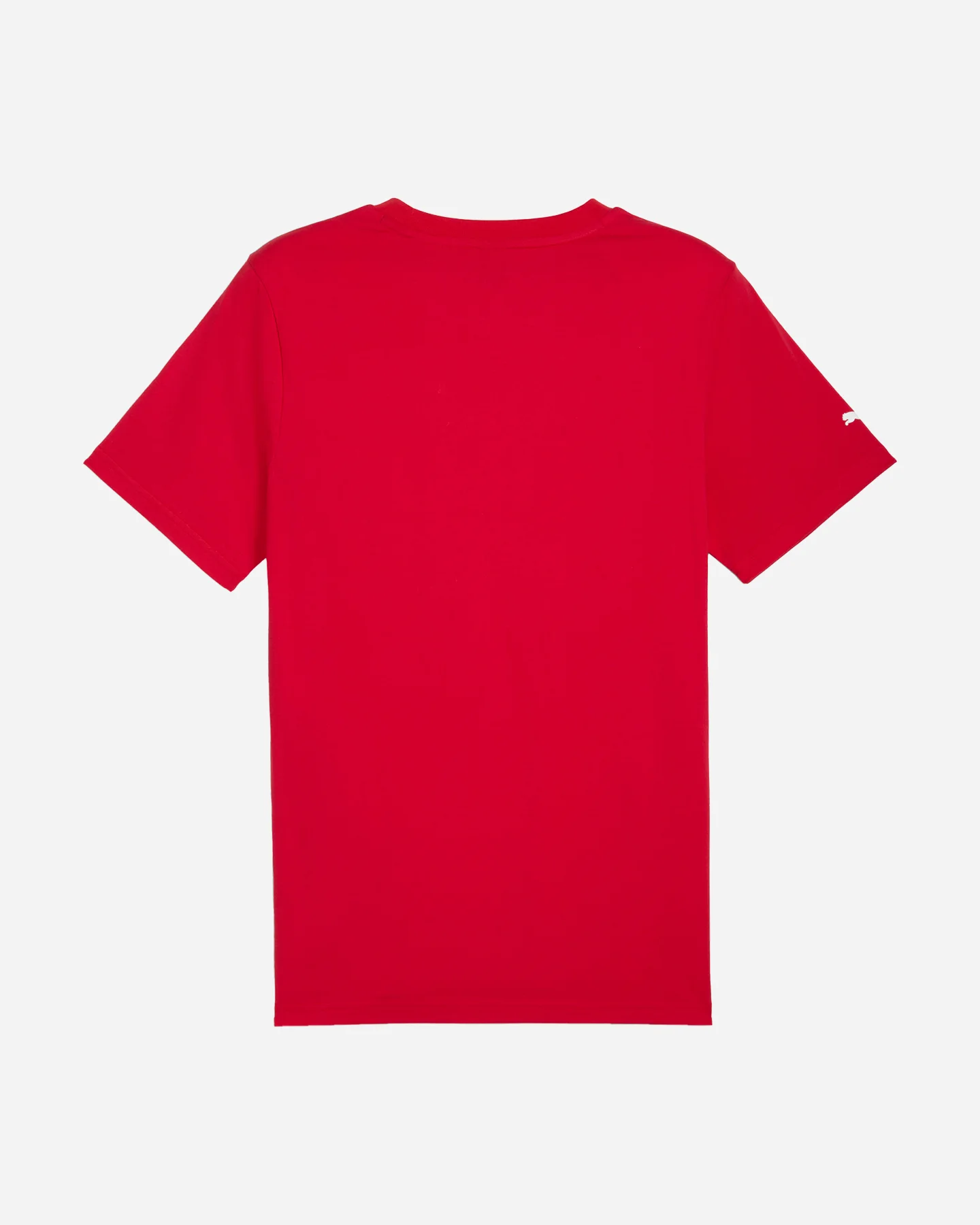 Puma Ferrari Race Tonal M - vista 3