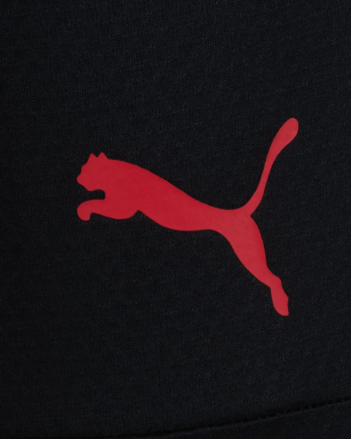 Pantaloni da Training Puma Milan 23-24 - vista 3
