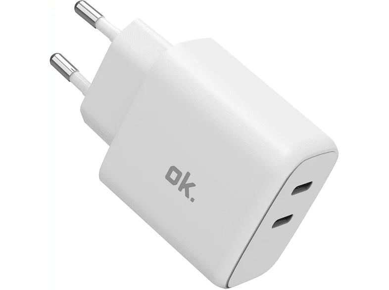CARICABATTERIA OK 65W Wall Charger
