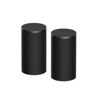 Sony BRAVIA Theatre Rear 9 SARS9.CEJ