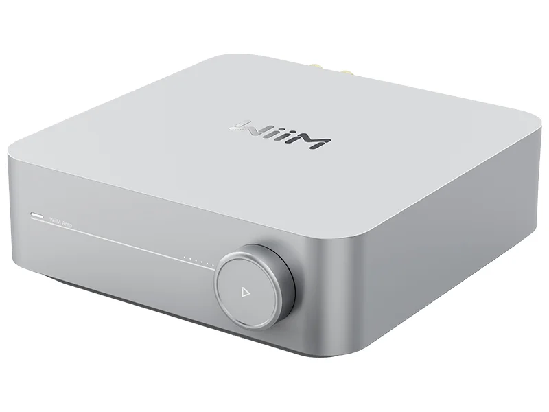 Amplificatore Finale WIIM Amp
