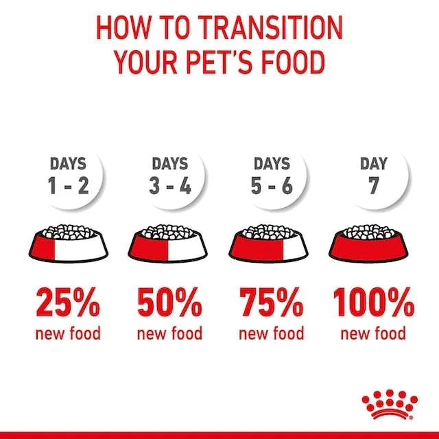 Royal Canin Hairball Care - vista 6