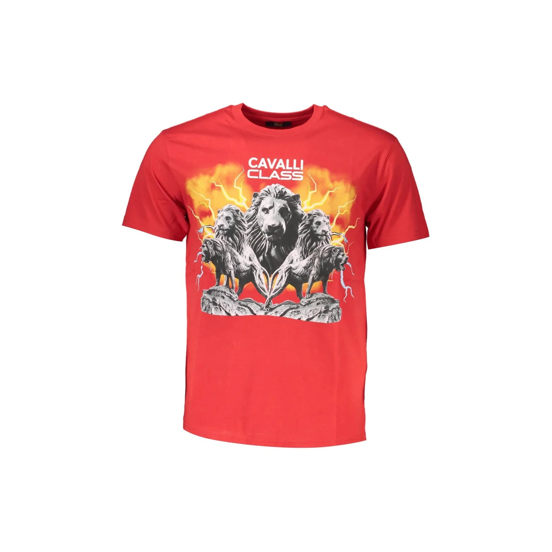 Cavalli Class T-Shirt Maniche Corte Uomo Stampa Logo
