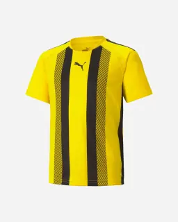 Puma Teamliga Jr