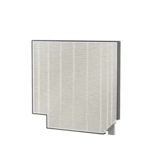 Electrolux CLEAN Virus Filter EF21003