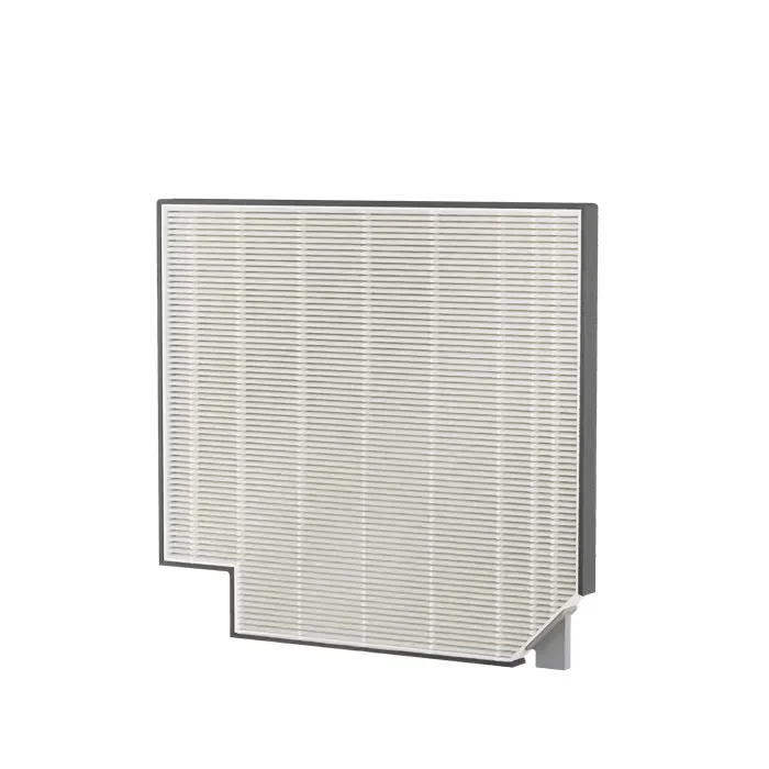 Electrolux CLEAN Virus Filter EF21003