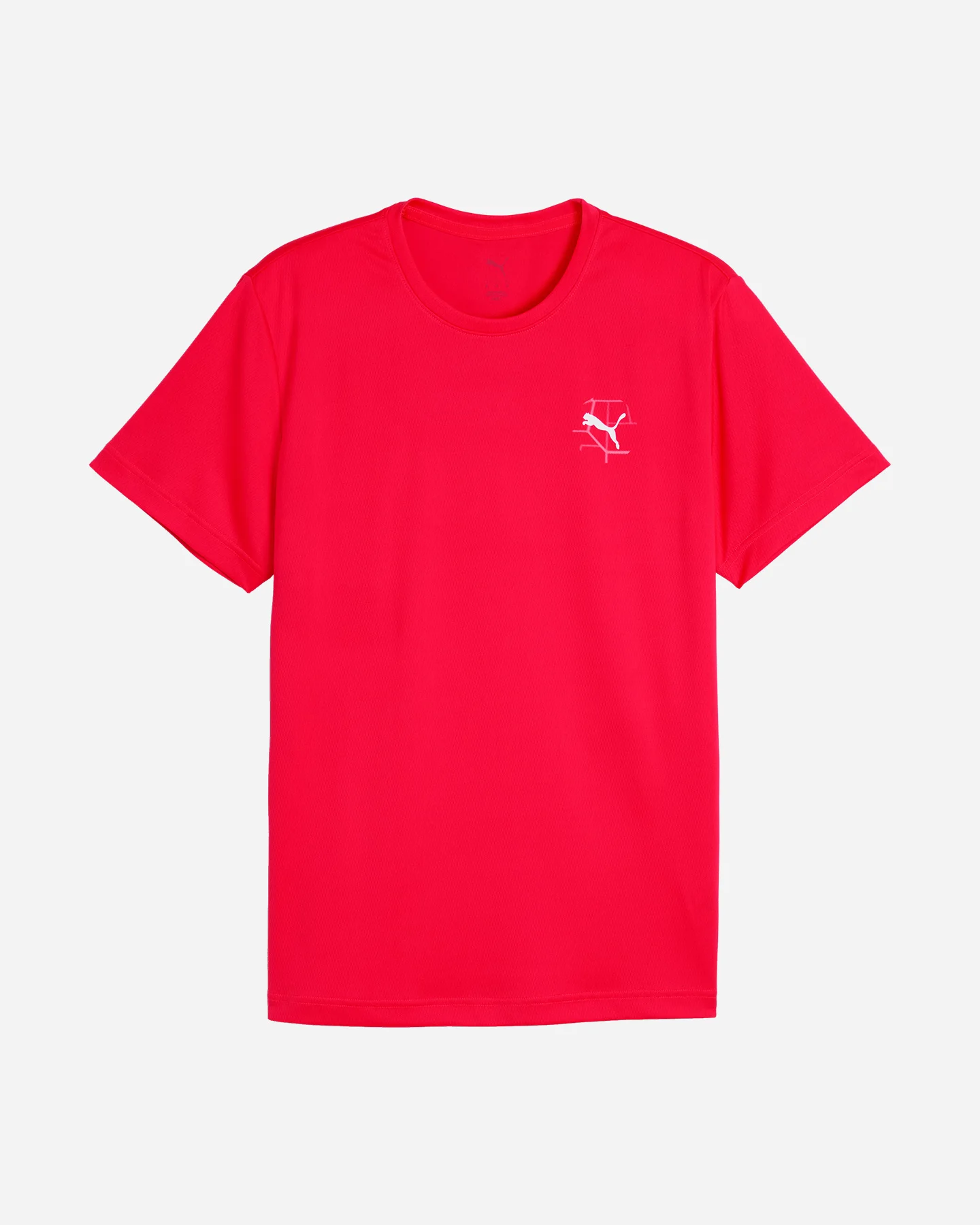 Puma Run Illustrative - vista 2
