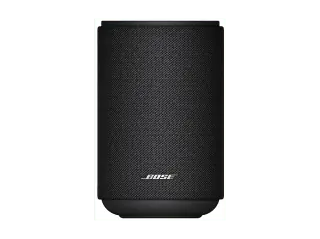 Bose Lifestyle Ultra Speaker B