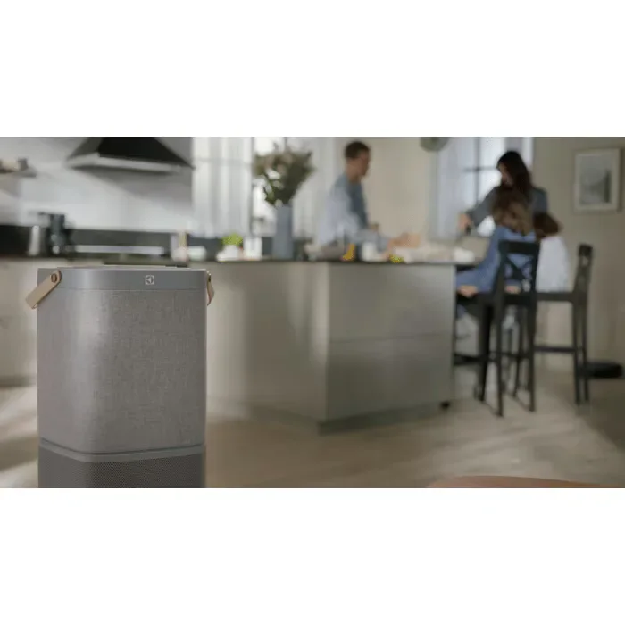 Filtro per purificatore aria Electrolux EFDBTH6 - vista 7
