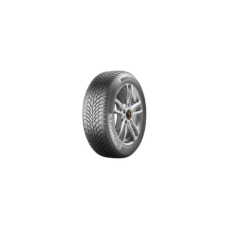 Continental TS870 195/45 HR17 81 H Invernale