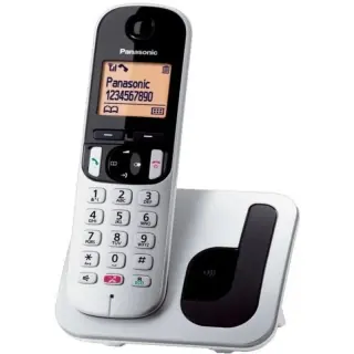 Telefono cordless Panasonic KX-TGC250SPS