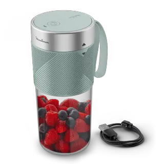 Moulinex Frullatore LM1C04