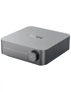 Wiim Amp Amplificatore Streamer di rete
