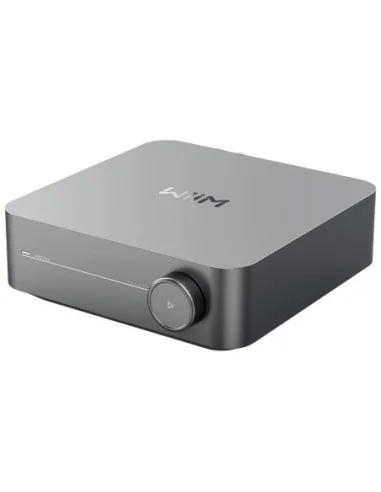 Wiim Amp Amplificatore Streamer di rete