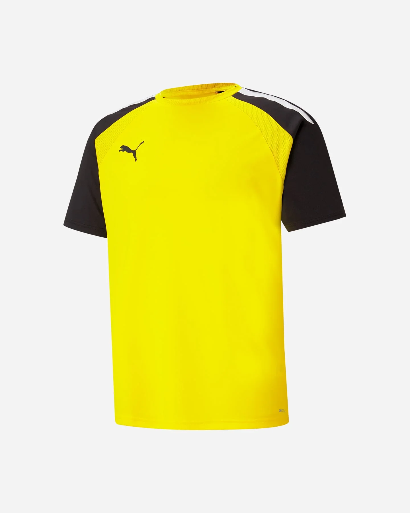 Puma Teampacer
