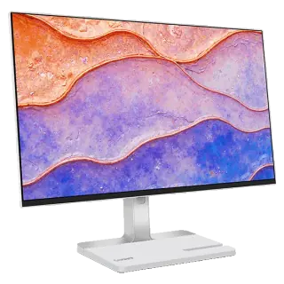 Lenovo L24D-4C FHD Monitor con Docking USB-C