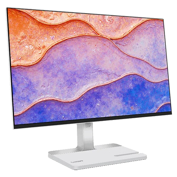 Lenovo L24D-4C FHD Monitor con Docking USB-C