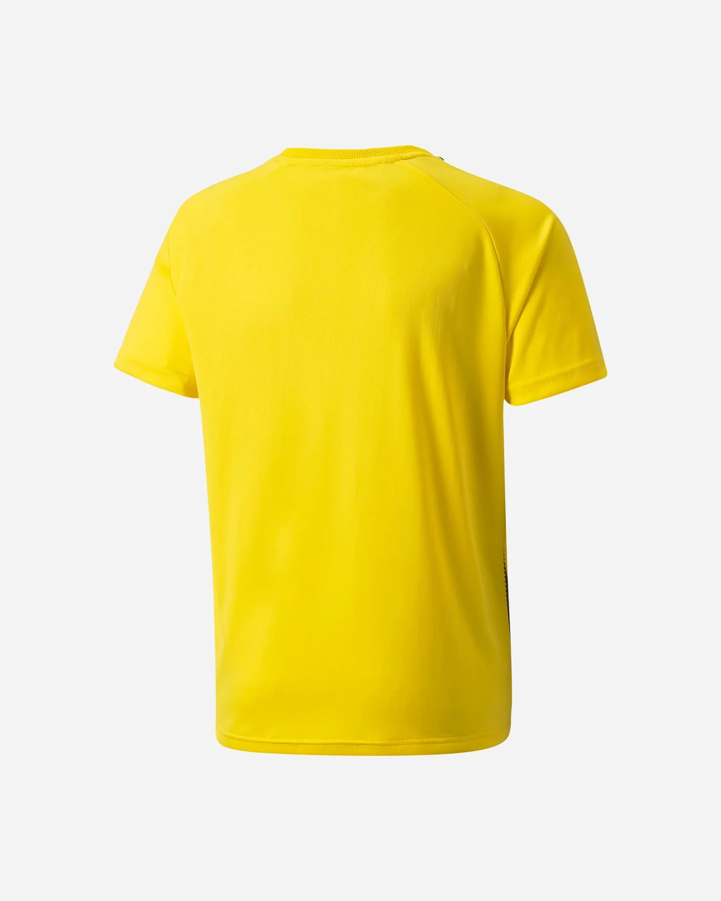 Puma Teamliga Jr - vista 2