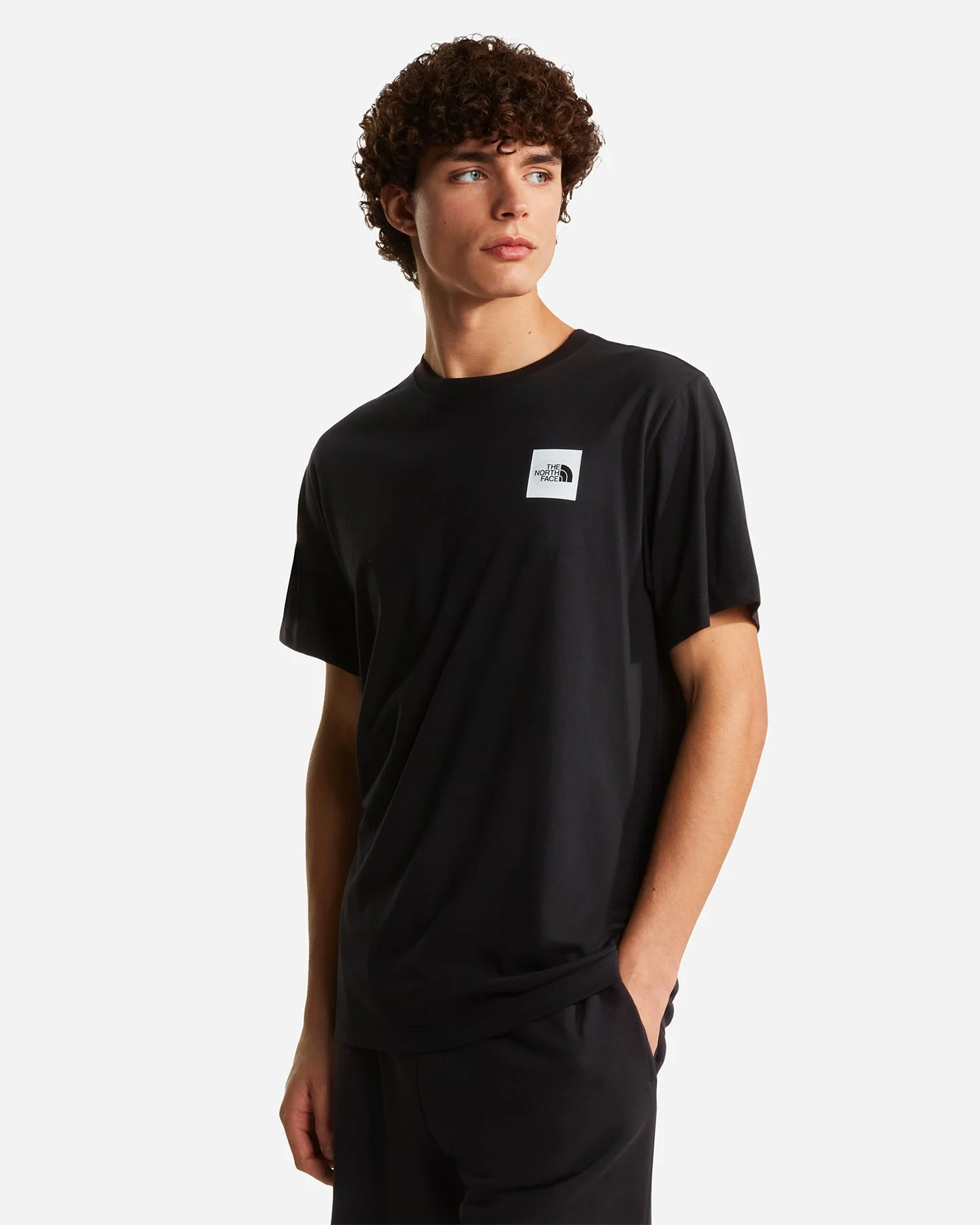 The North Face Evolution Box Half Dome - T-shirt - Uomo - vista 4