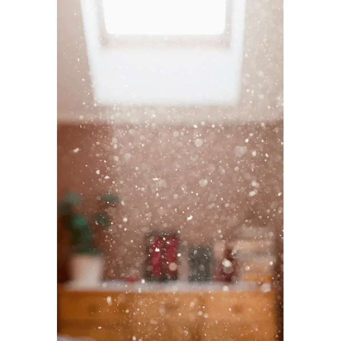 Filtro per purificatore aria Electrolux EFDBRZ4 - vista 4