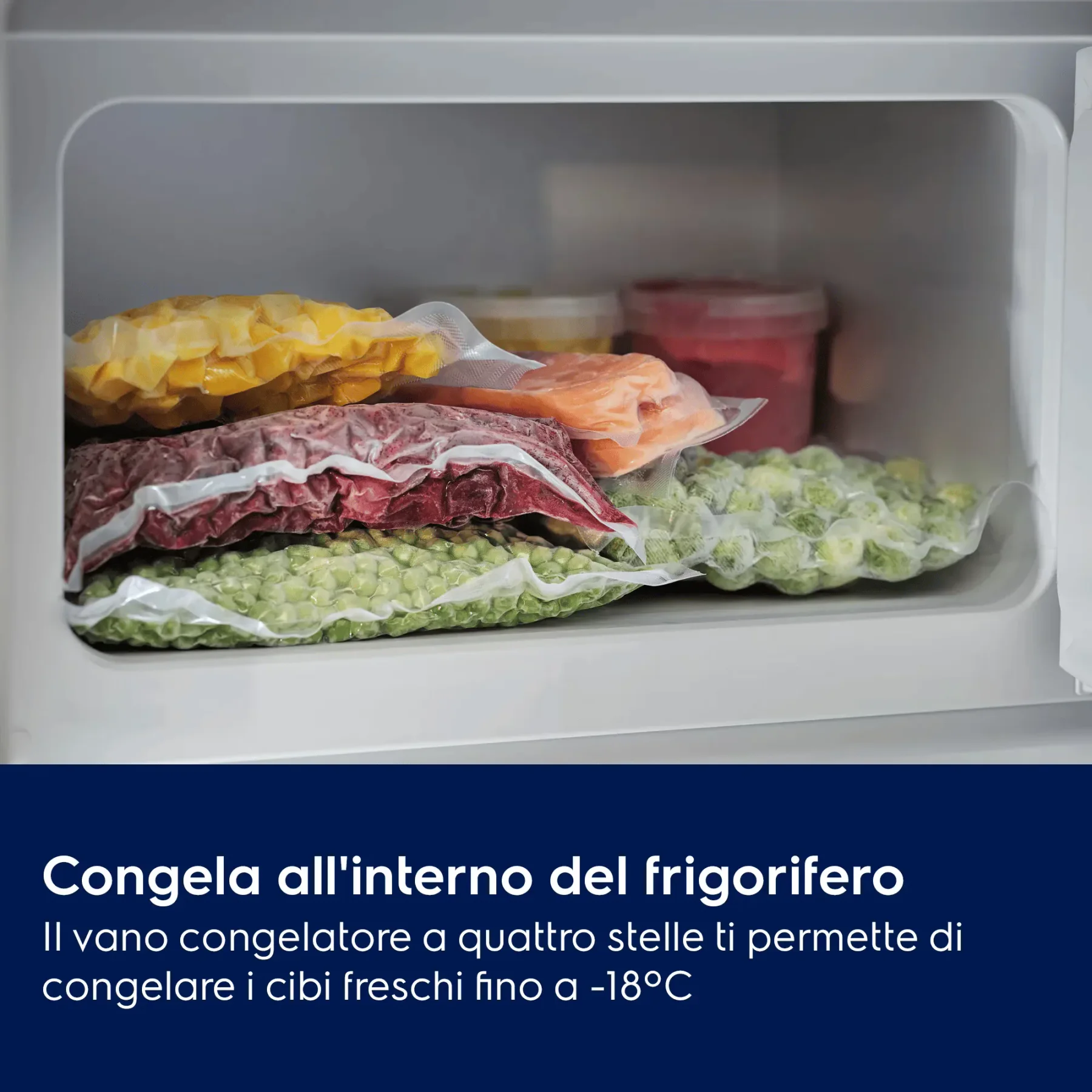Frigorifero ad incasso Electrolux Serie 500 LFB3AE12S - vista 5