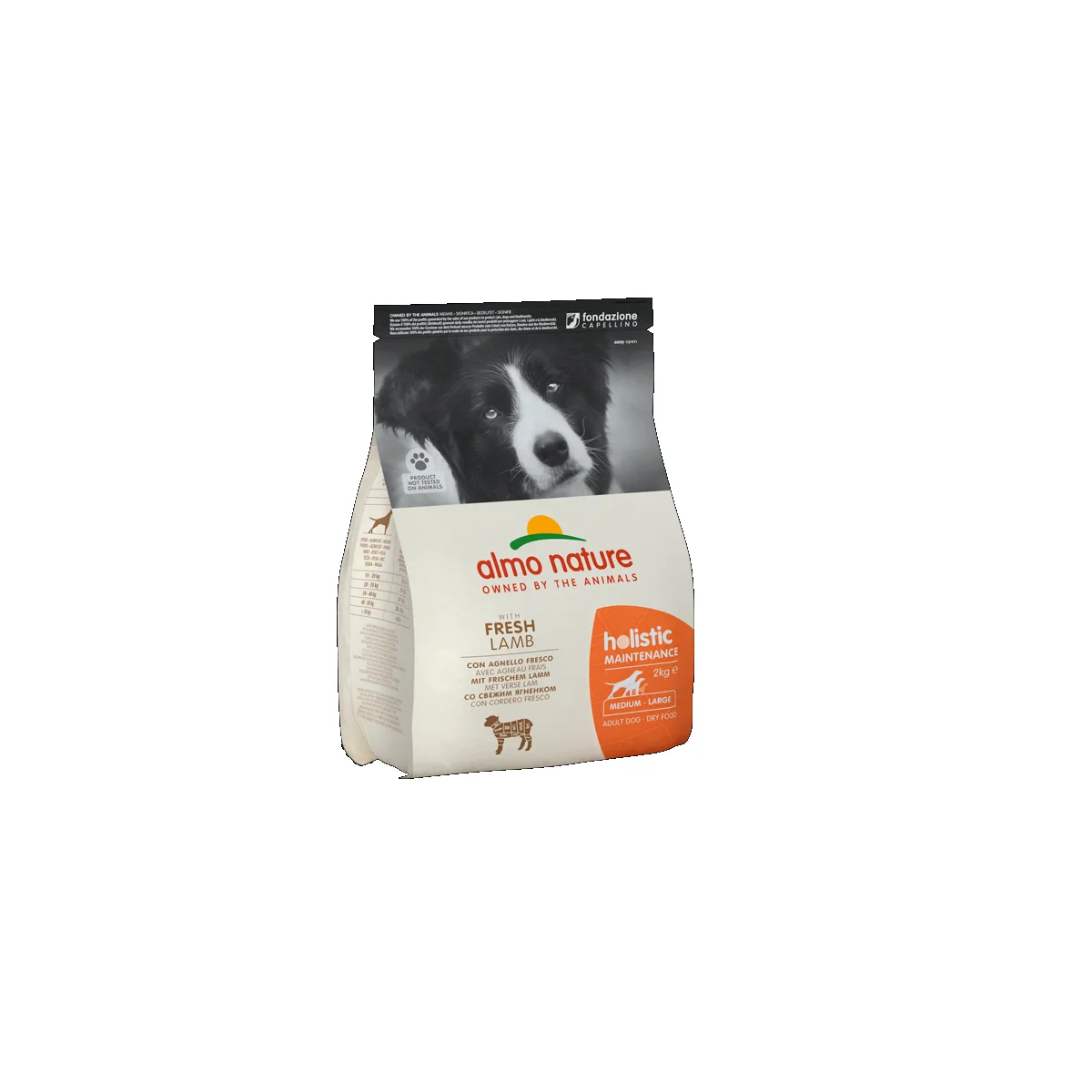 Cane Holistic Medium Agnello & Riso