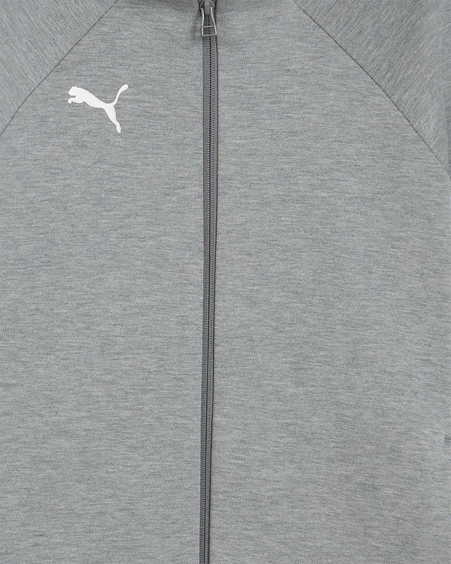 Puma Teamevostripe - vista 4