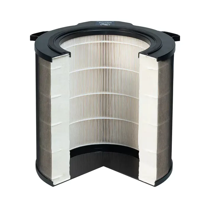 Filtro per purificatore aria Electrolux EFDBTH4