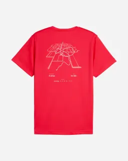 Puma Run Illustrative