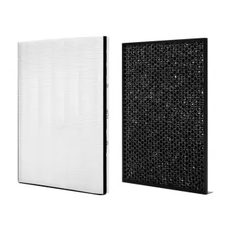 Filtro per purificatore aria Electrolux EFWBRZ3