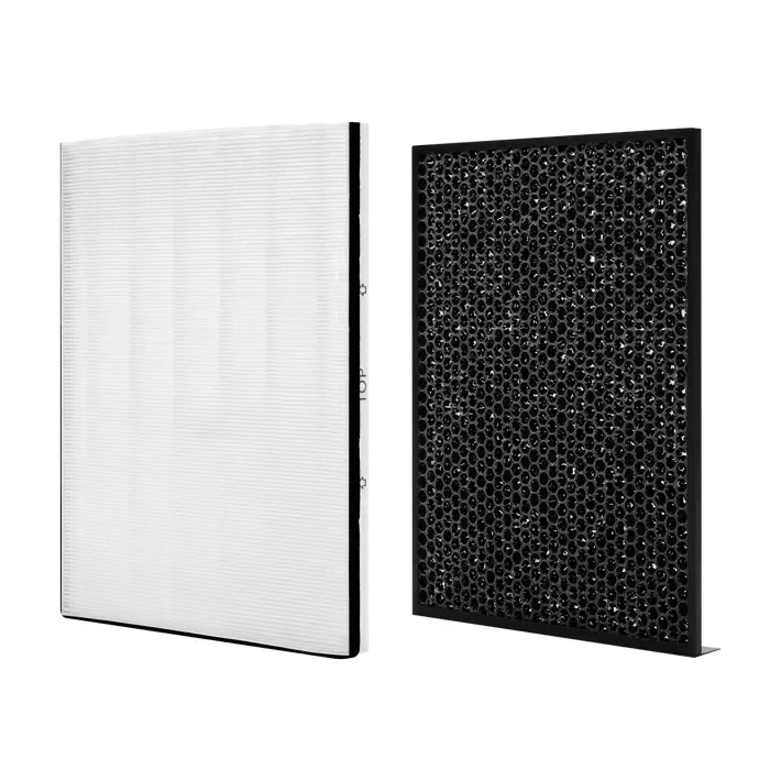 Filtro per purificatore aria Electrolux EFWBRZ3