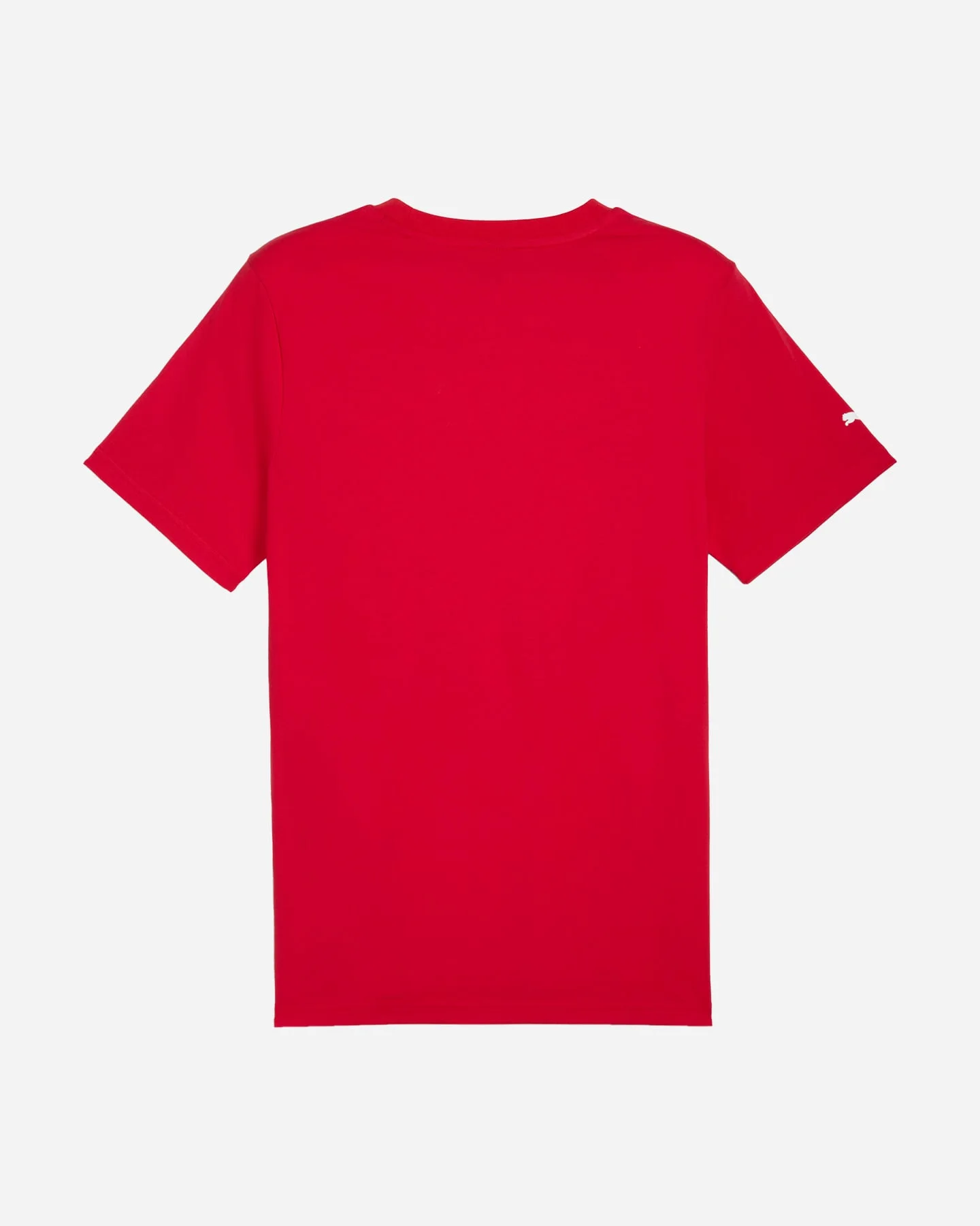Puma Ferrari Race Tonal M - vista 2