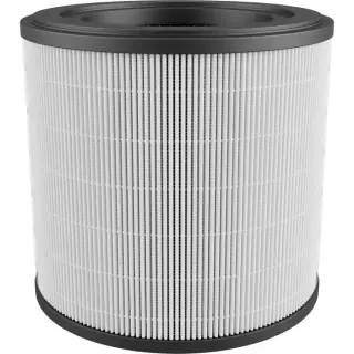 Filtro per purificatore aria Electrolux EFFCAR2