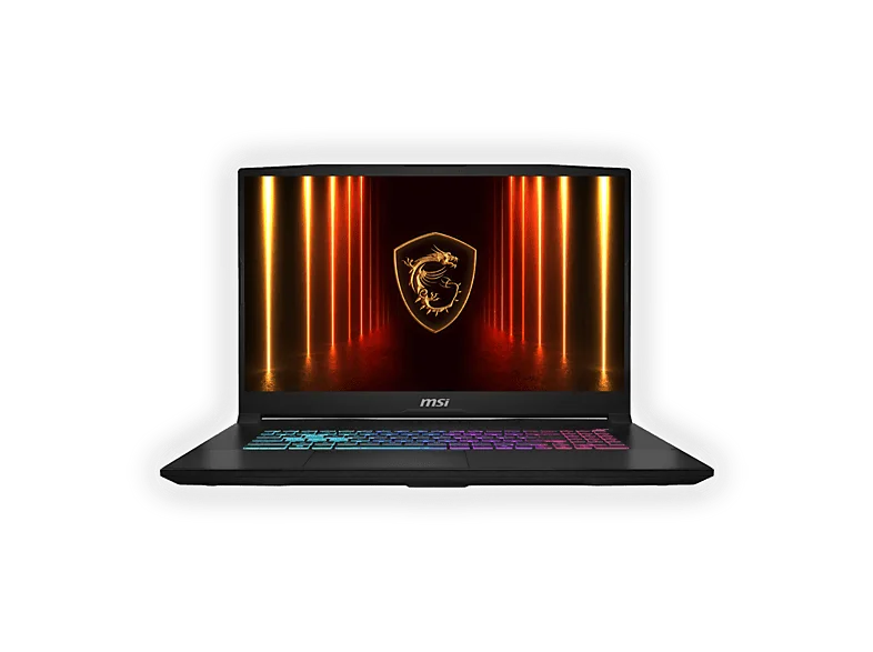 MSI Katana 17 HX B14WGK-044IT Notebook Gaming