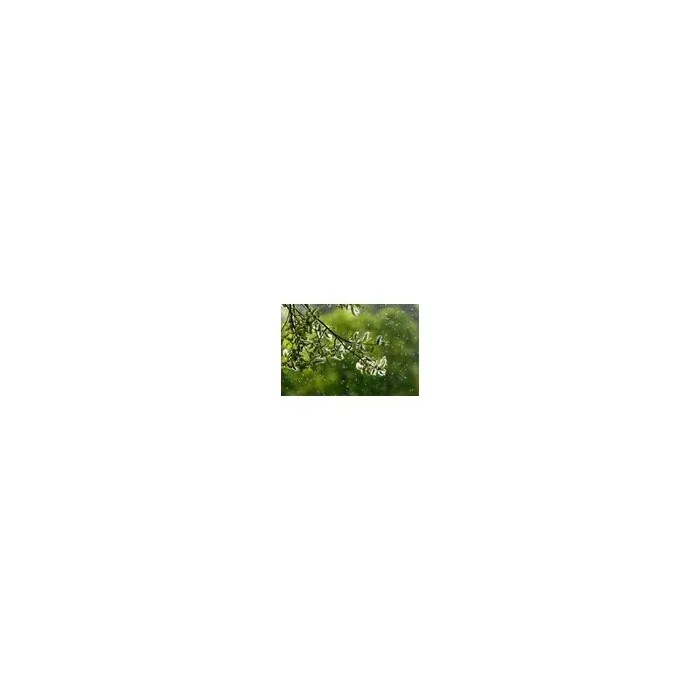 Filtro per purificatore aria Electrolux EFDBTH6 - vista 8