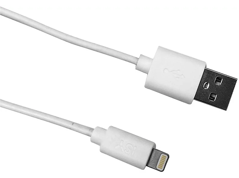 Cavo Lightning ISY IUC-1109