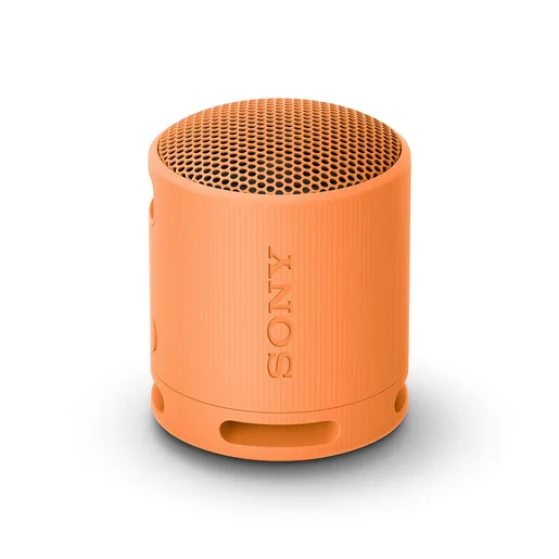 Sony SRS-XB100 Speaker Wireless Bluetooth