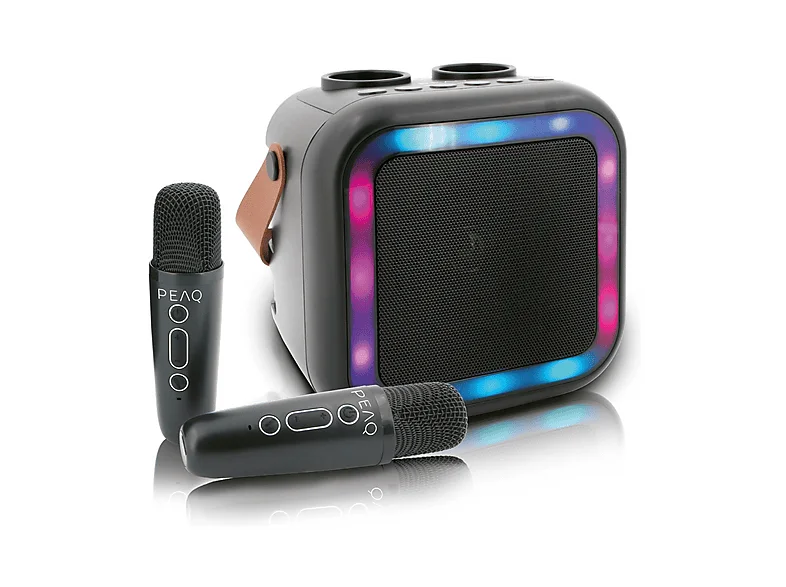 PEAQ Macchina karaoke PKM-100 + 2 microfoni