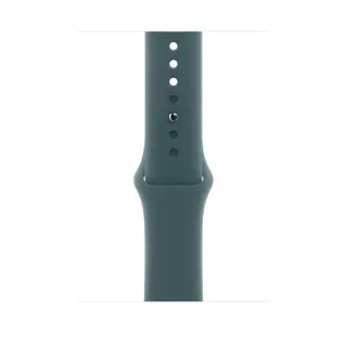 Cinturino Sport Apple lago