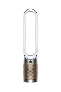 Dyson Purifier Cool PC2 De-NOx