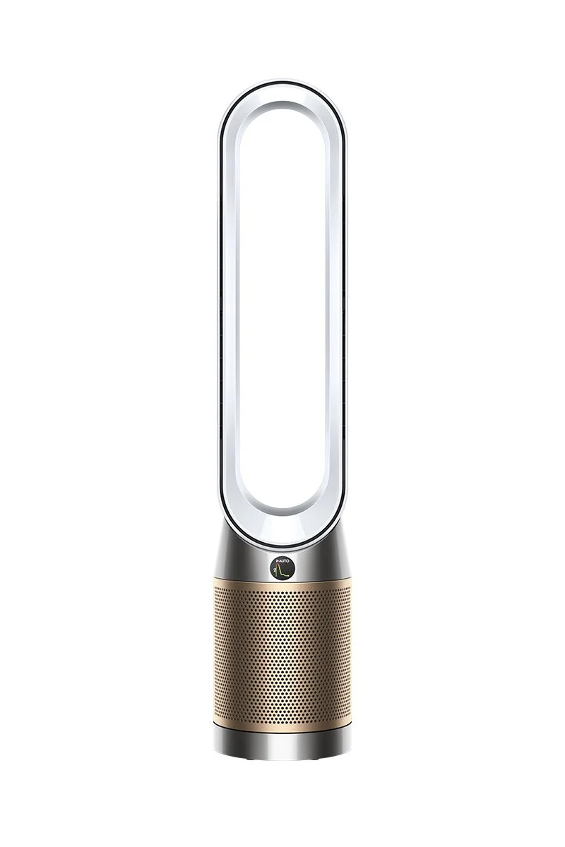 Dyson Purifier Cool PC2 De-NOx